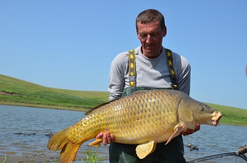 CUPA BECKER SARULESTI - pescuit-crap-sarulesti-2.JPG